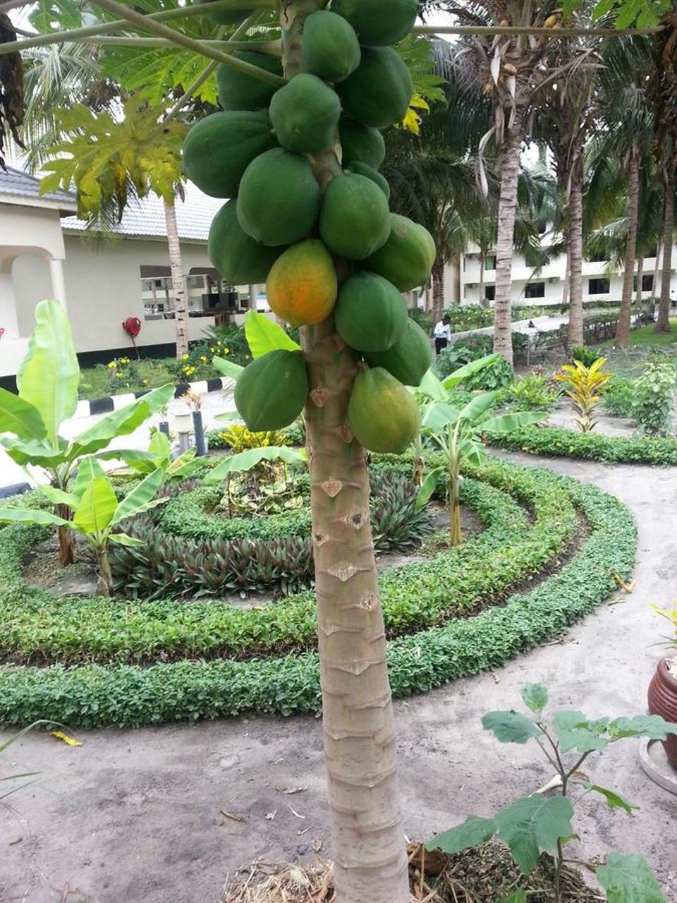 Oceanic Bay Hotel & Resort Bagamoyo Eksteriør billede