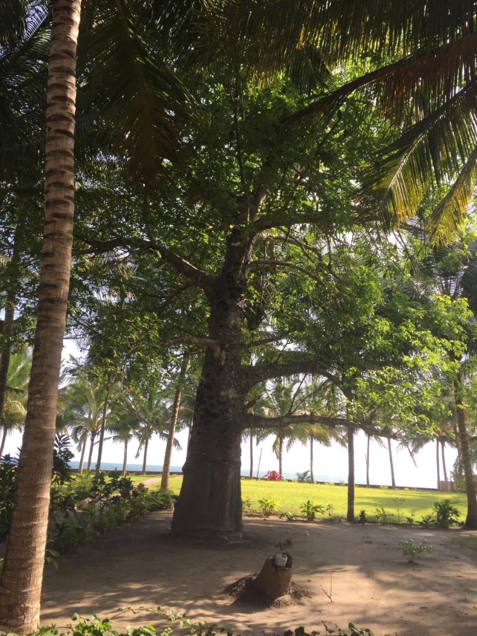 Oceanic Bay Hotel & Resort Bagamoyo Eksteriør billede